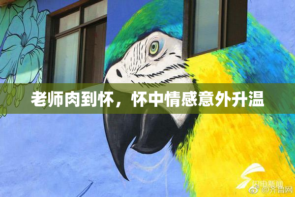 老师肉到怀，怀中情感意外升温
