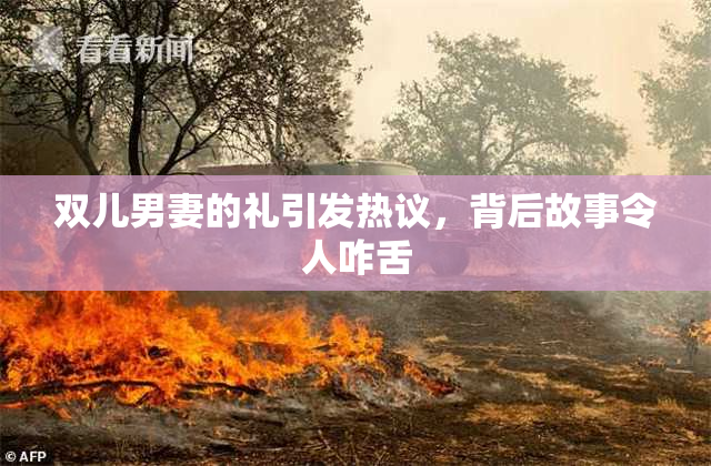 双儿男妻的礼引发热议，背后故事令人咋舌
