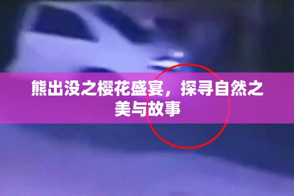熊出没之樱花盛宴，探寻自然之美与故事