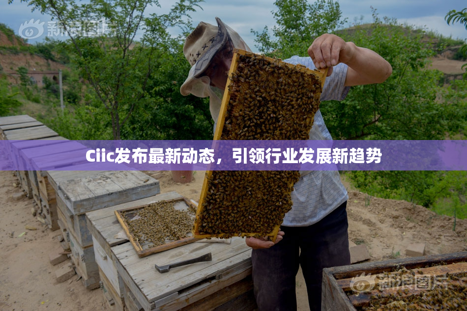 Ciic发布最新动态，引领行业发展新趋势