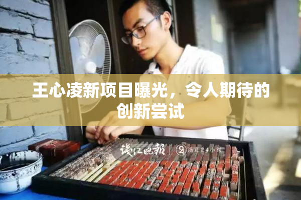 王心凌新项目曝光，令人期待的创新尝试
