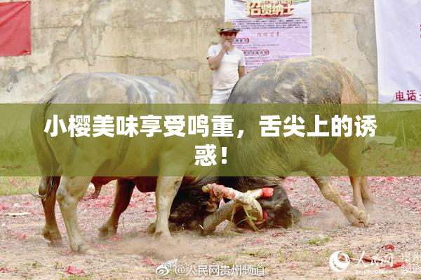 小樱美味享受鸣重，舌尖上的诱惑！