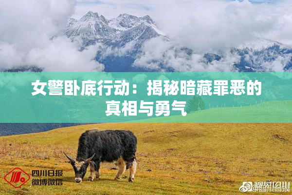 女警卧底行动：揭秘暗藏罪恶的真相与勇气
