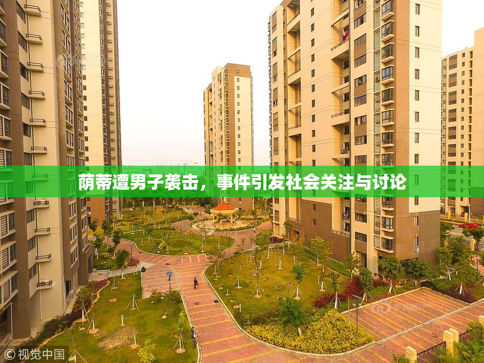 荫蒂遭男子袭击，事件引发社会关注与讨论
