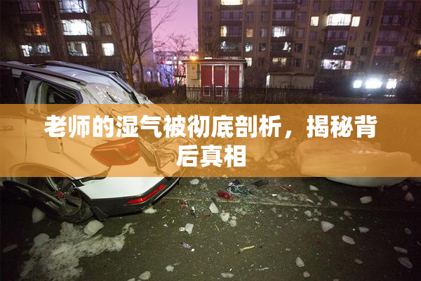 老师的湿气被彻底剖析，揭秘背后真相