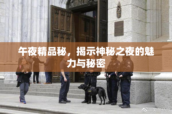 午夜精品秘，揭示神秘之夜的魅力与秘密