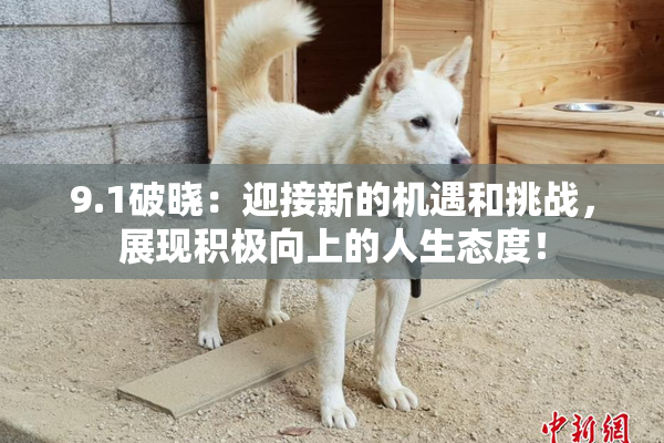 9.1破晓：迎接新的机遇和挑战，展现积极向上的人生态度！