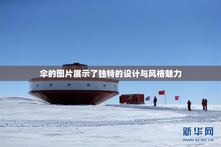 伞的图片展示了独特的设计与风格魅力