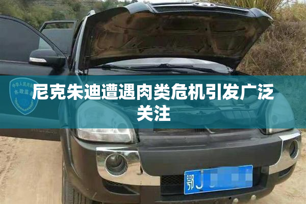 尼克朱迪遭遇肉类危机引发广泛关注