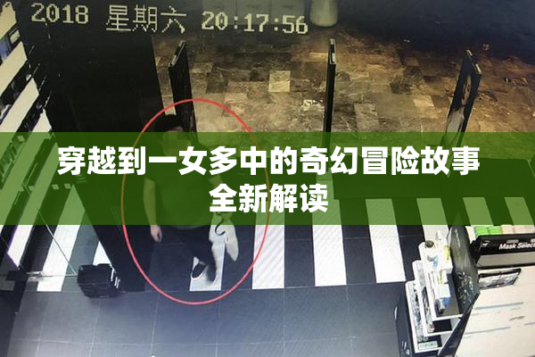穿越到一女多中的奇幻冒险故事全新解读