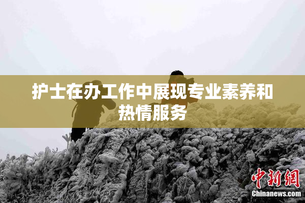 护士在办工作中展现专业素养和热情服务