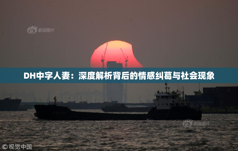 DH中字人妻：深度解析背后的情感纠葛与社会现象