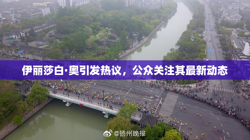伊丽莎白·奥引发热议，公众关注其最新动态