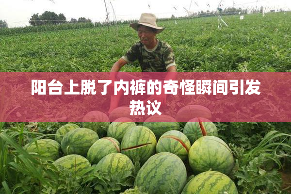 阳台上脱了内裤的奇怪瞬间引发热议