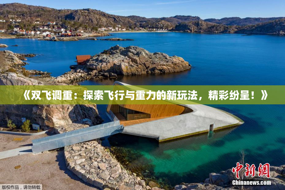 《双飞调重：探索飞行与重力的新玩法，精彩纷呈！》
