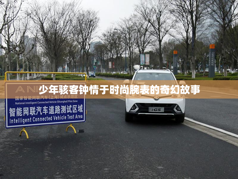 少年骇客钟情于时尚腕表的奇幻故事