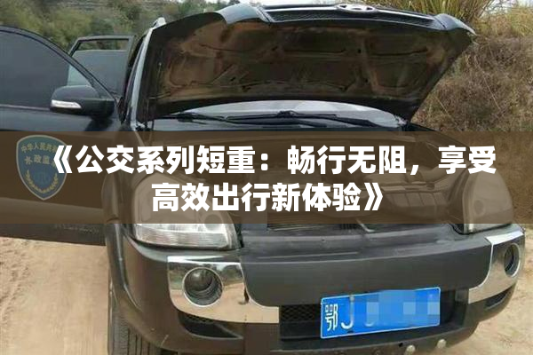 《公交系列短重：畅行无阻，享受高效出行新体验》