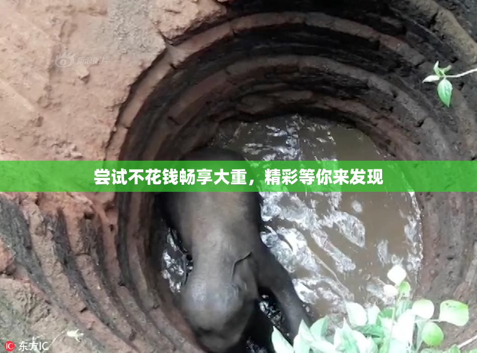 尝试不花钱畅享大重，精彩等你来发现