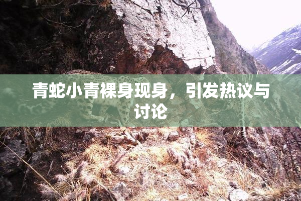 青蛇小青裸身现身，引发热议与讨论