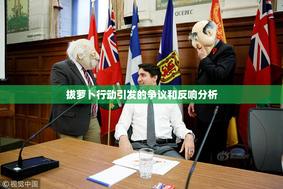 拔萝卜行动引发的争议和反响分析