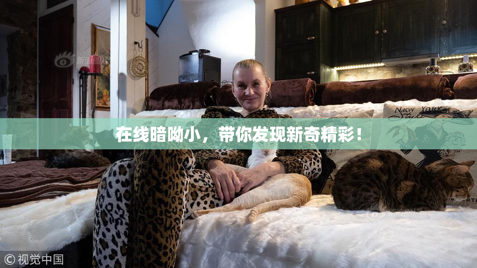 在线暗呦小，带你发现新奇精彩！