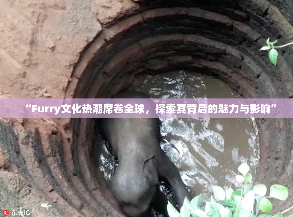 “Furry文化热潮席卷全球，探索其背后的魅力与影响”