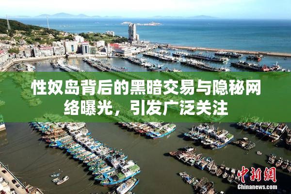 性奴岛背后的黑暗交易与隐秘网络曝光，引发广泛关注