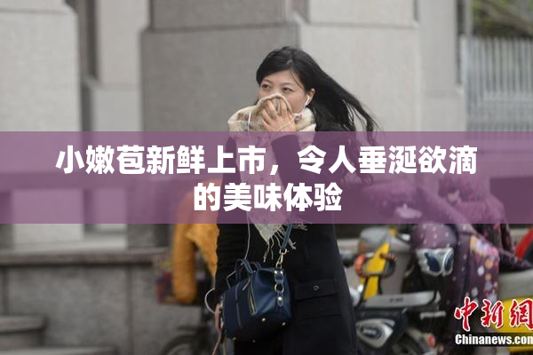 小嫩苞新鲜上市，令人垂涎欲滴的美味体验
