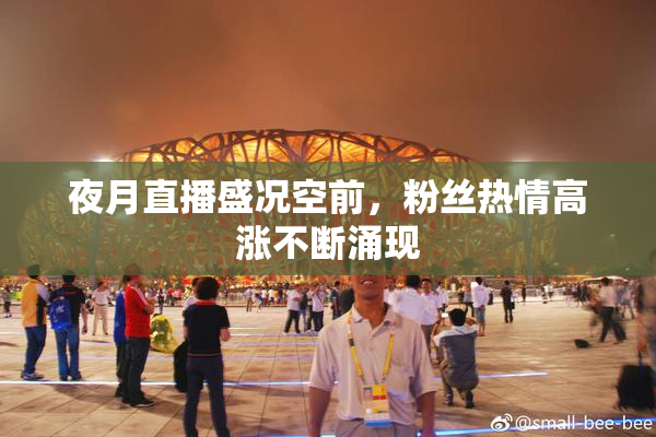 夜月直播盛况空前，粉丝热情高涨不断涌现