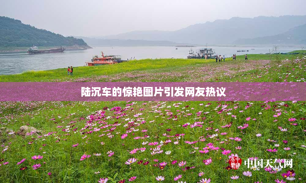 陆沉车的惊艳图片引发网友热议