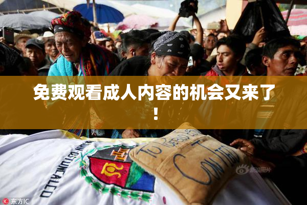 免费观看成人内容的机会又来了！