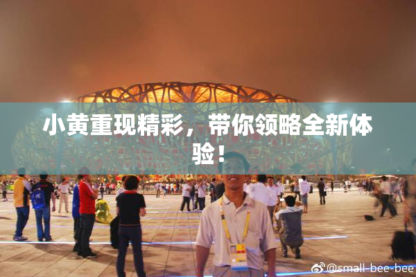 小黄重现精彩，带你领略全新体验！