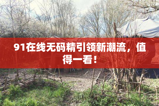 91在线无码精引领新潮流，值得一看！