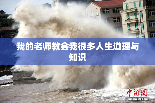我的老师教会我很多人生道理与知识
