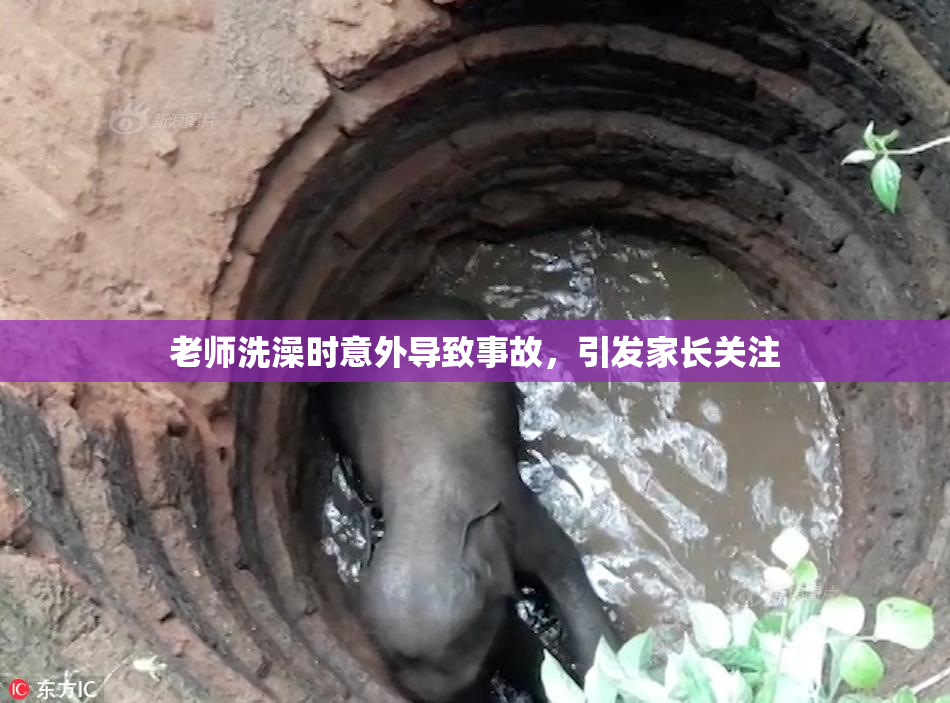 老师洗澡时意外导致事故，引发家长关注