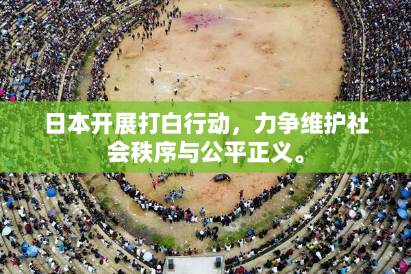 日本开展打白行动，力争维护社会秩序与公平正义。