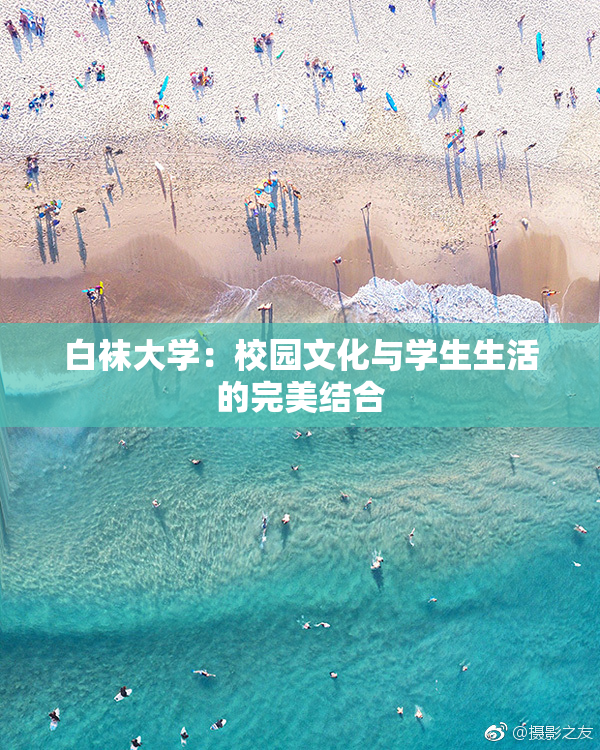 白袜大学：校园文化与学生生活的完美结合