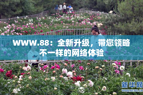 WWW.88：全新升级，带您领略不一样的网络体验