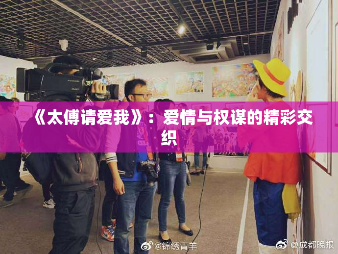 《太傅请爱我》：爱情与权谋的精彩交织