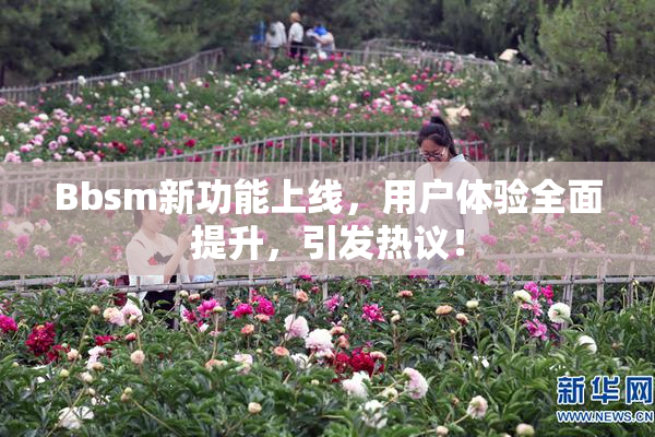 Bbsm新功能上线，用户体验全面提升，引发热议！