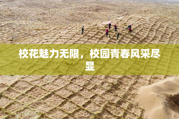 校花魅力无限，校园青春风采尽显