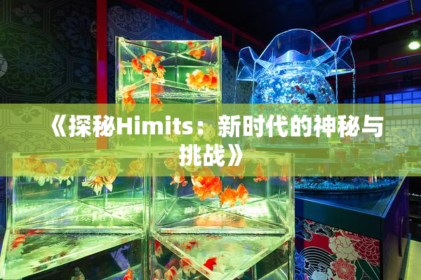 《探秘Himits：新时代的神秘与挑战》
