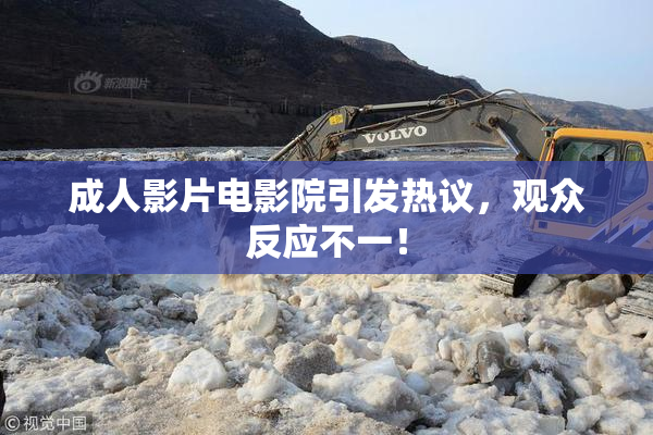 成人影片电影院引发热议，观众反应不一！