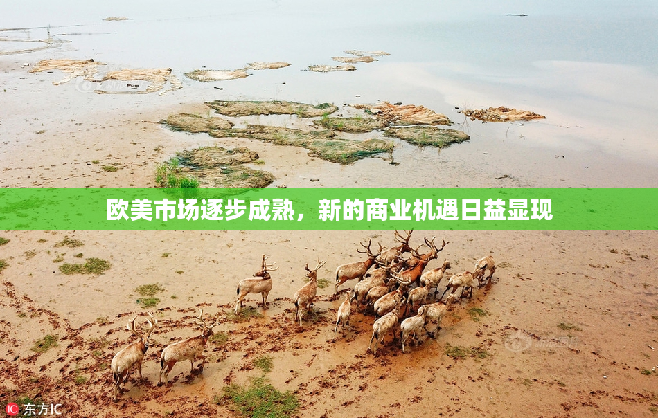 欧美市场逐步成熟，新的商业机遇日益显现