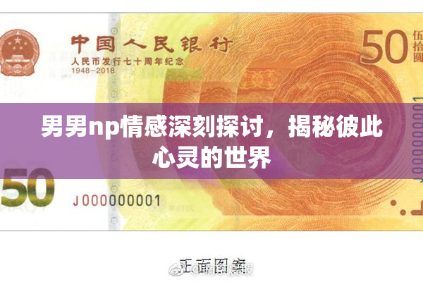 男男np情感深刻探讨，揭秘彼此心灵的世界