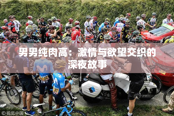 男男纯肉高：激情与欲望交织的深夜故事