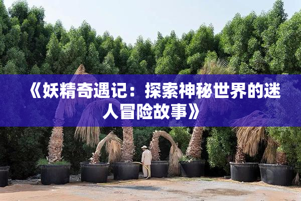《妖精奇遇记：探索神秘世界的迷人冒险故事》