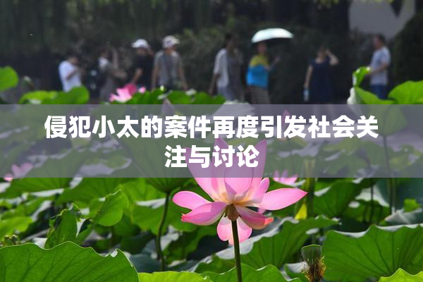 侵犯小太的案件再度引发社会关注与讨论