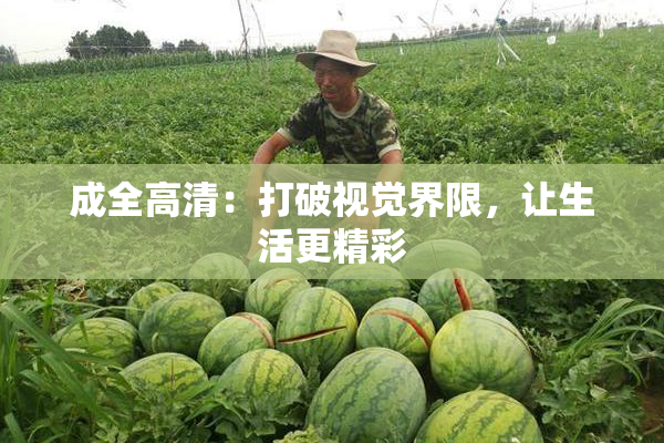 成全高清：打破视觉界限，让生活更精彩