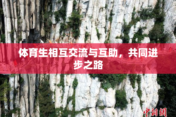 体育生相互交流与互助，共同进步之路